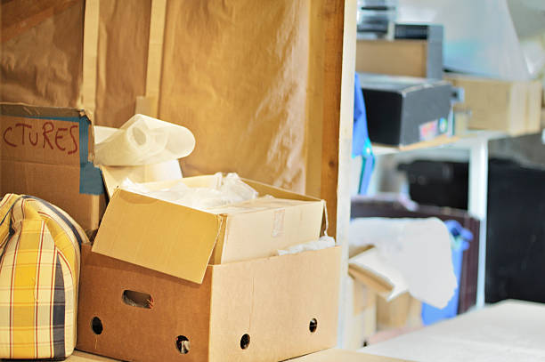 Best Electronics Removal Services  in Horizon West, FL